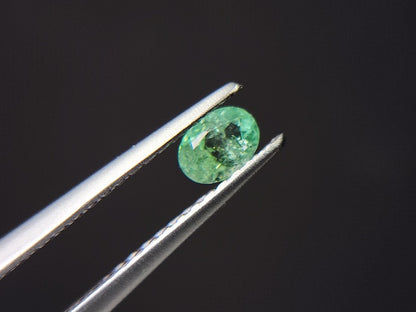 0003-15　コーネルピン　0.23ct
