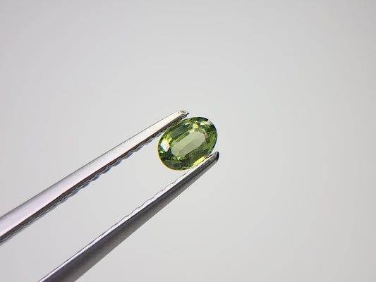 0003-11　コーネルピン　0.25ct