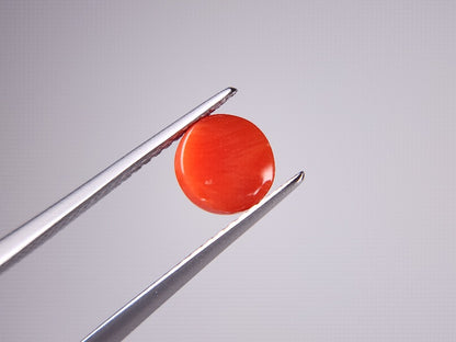 SNG-14　珊瑚　1.38ct