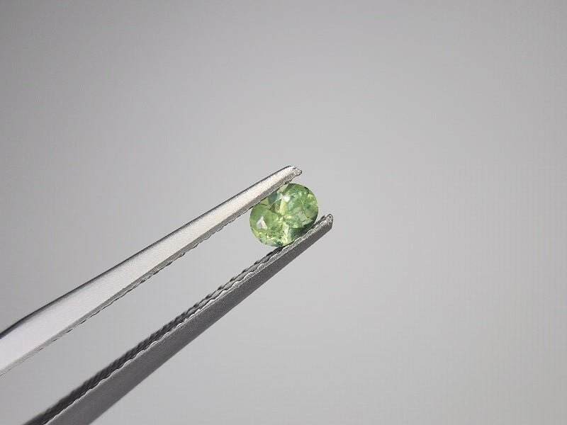 0873-5-4　デマントイドガーネット　0.26ct