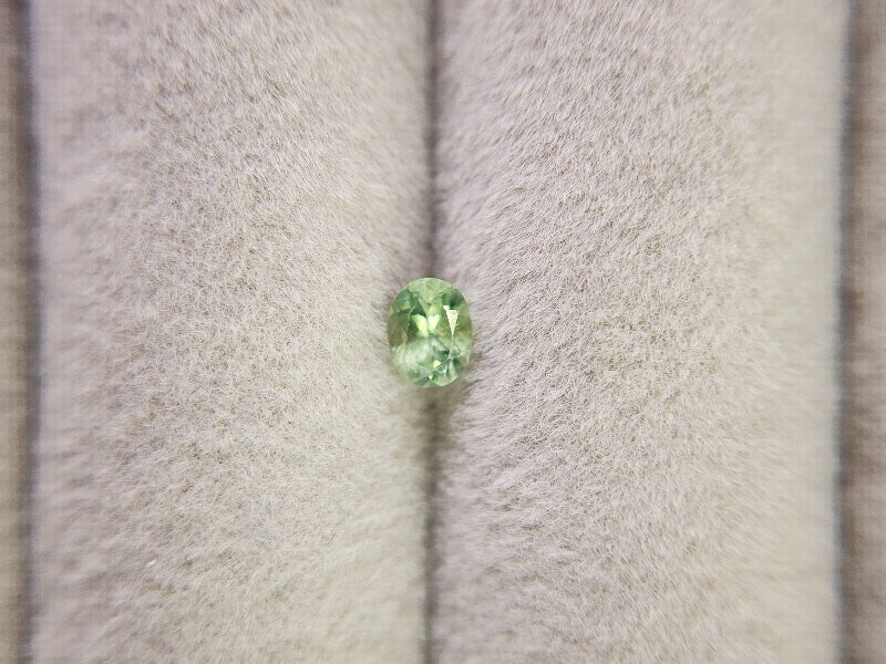 0873-5-4　デマントイドガーネット　0.26ct