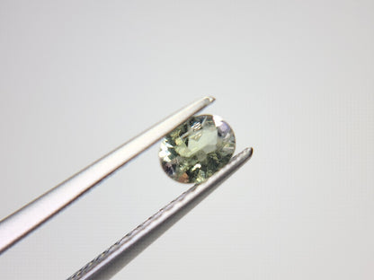 0654-1-1　ゾイサイト   0.29ct