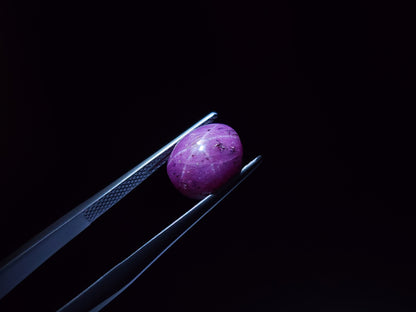 pu-SSA-3　パープルスターサファイア　6.04ct