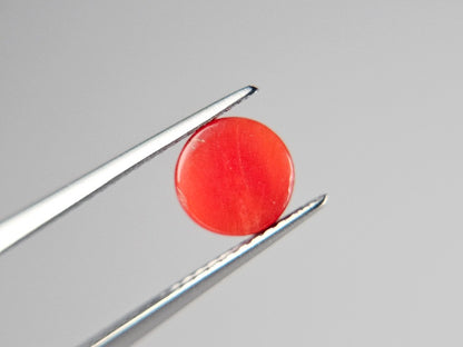 SNG-1　珊瑚　1.77ct