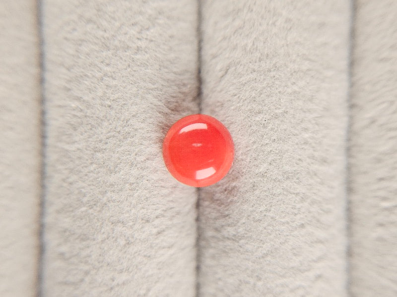 SNG-2　珊瑚　1.64ct