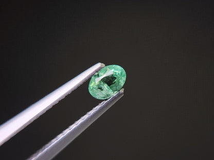 0003-9　コーネルピン　0.26ct