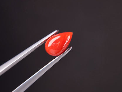 SNG-17　珊瑚　1.07ct