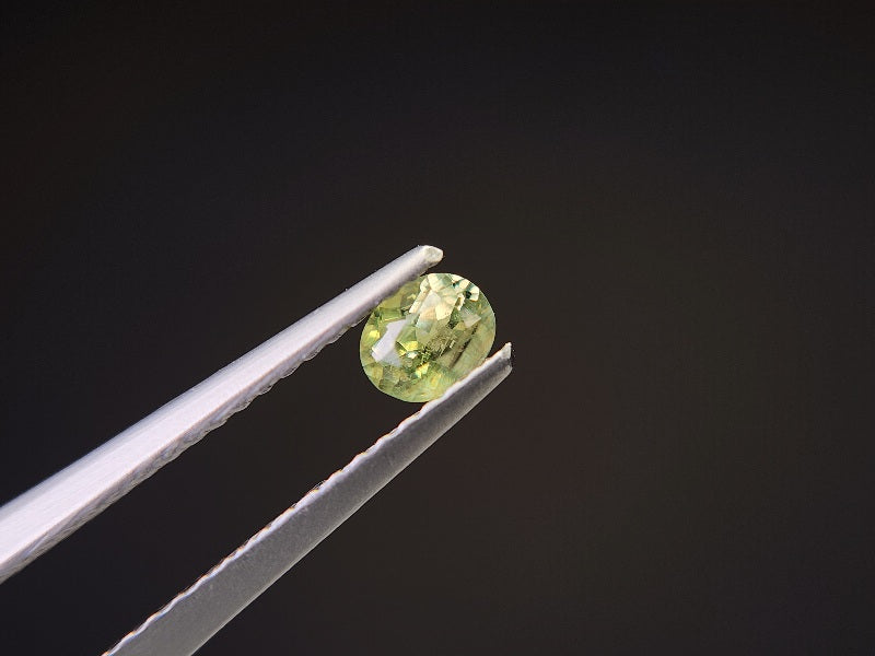 0873-5-2　デマントイドガーネット　0.30ct