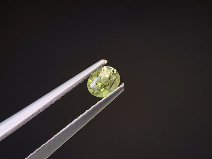 0873-5-2　デマントイドガーネット　0.30ct