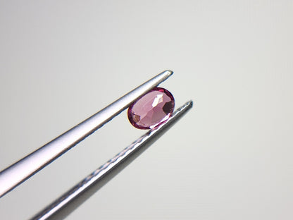 SP-21　スピネル　0.24ct