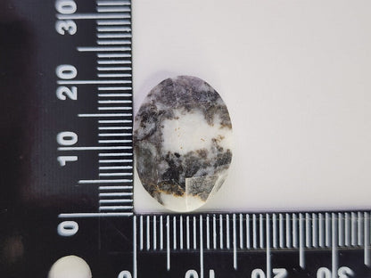 【500円均一】1/12正午まで　ゼブラジャスパー　9.54ct　9