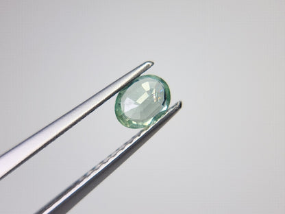 0035-2-1　グリーンカイヤナイト　0.41ct