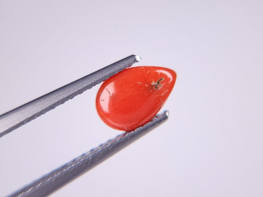 【500円均一】4/13新着！　珊瑚　0.61ct　3